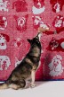 mili_studio_25_12_08-2301.jpg