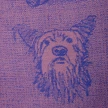 milistudio-26-05-04-9483.jpg