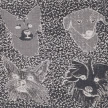 milistudio-26-05-04-9566.jpg
