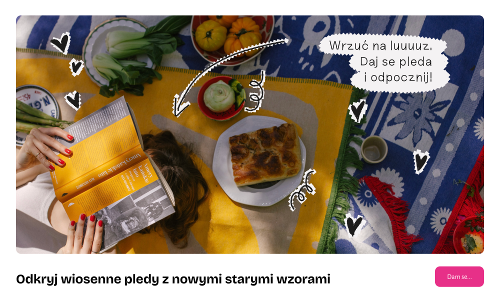 Pledy stare nowe piknikowe